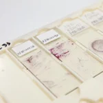 معرف Gram Stain Kit