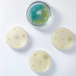 محیط کشت EMB Agar
